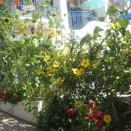 Olive Bay Hotel Agia Efimia Zewnętrze zdjęcie